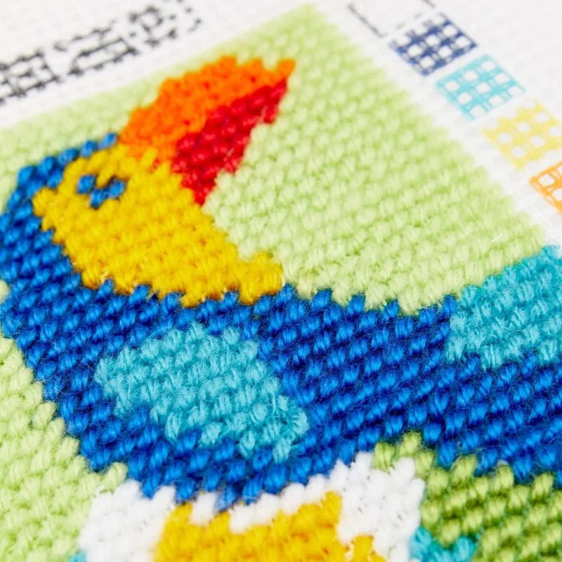 KIT DE BORDADO MEDIO PUNTO - EL TUCAN - DMC