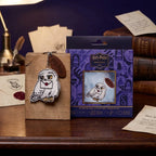 Llavero Hedwige con carta Harry Potter para bordar a punto de cruz
