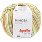 MIMOSA DE KATIA